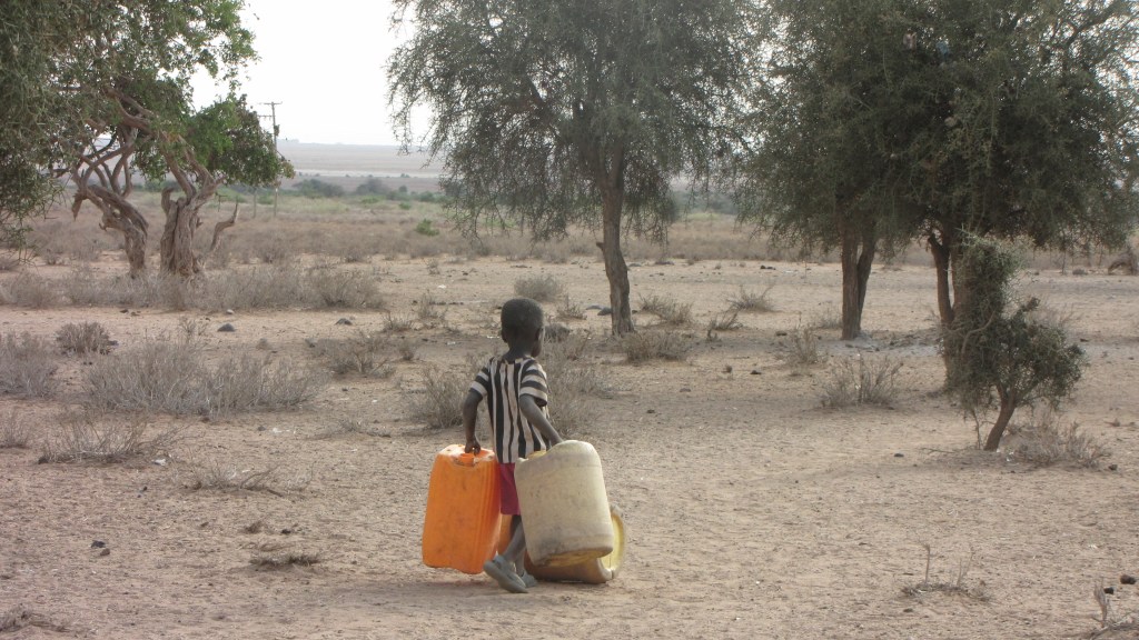 Búsqueda del gran tesoro